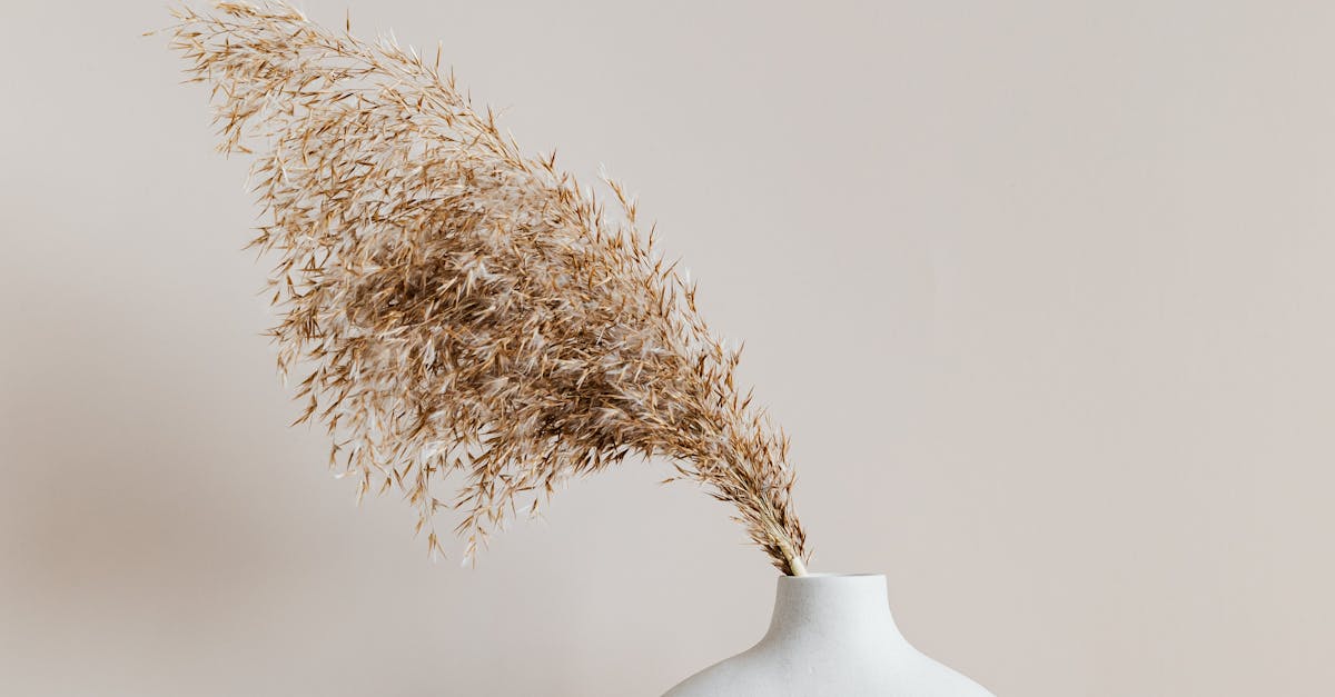 Custom Built-In Storage: Enhancing Your Home's Layout