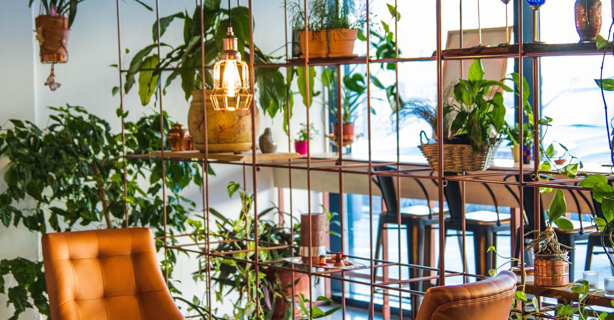 Eclectic Decor: Balancing Chaos and Cohesion